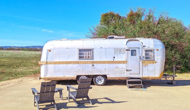 Janis Jopplin Trailer - Janis Jopplin Themed Vintage Trailer on Vineyard