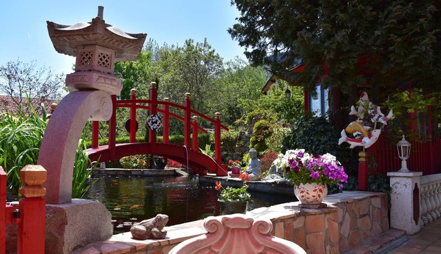 Japanese spring, La Mure, les Écrins, Monteynard