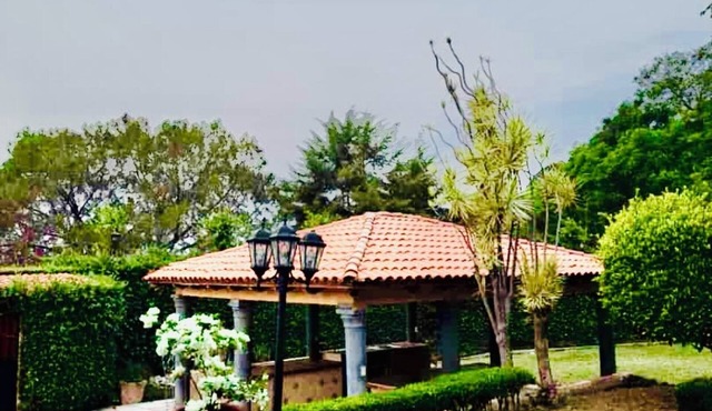 Jardín de los Soles Californian Residences