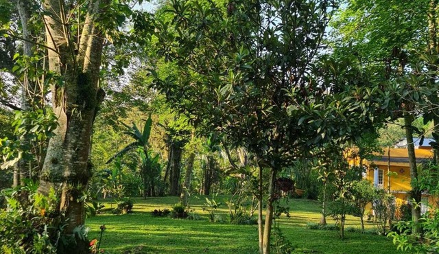 Jardin de los Anturios, Xico