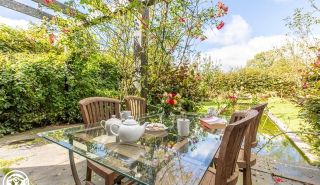 Jardin des Roses - Rose