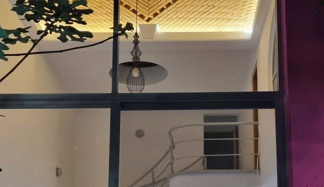 Jardin Elvira