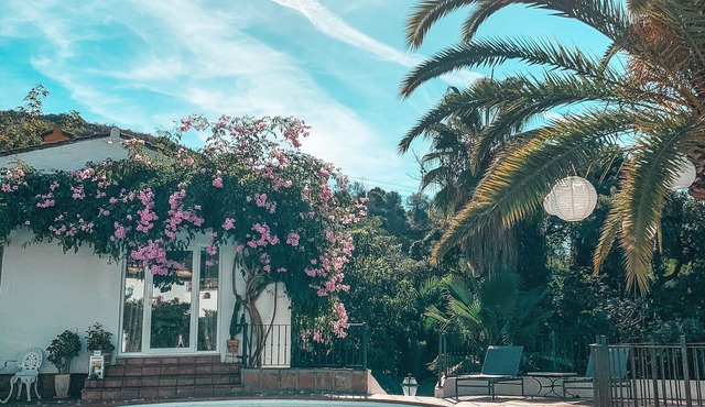 Jardines De La Reina Boutique B&B