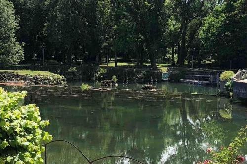 Jarnac, charmante maison au bord du fleuve