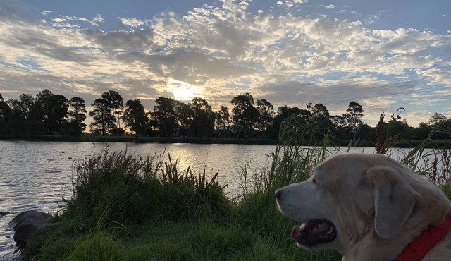 Jasmine Room- 5 minutes walk to Edwards Lake