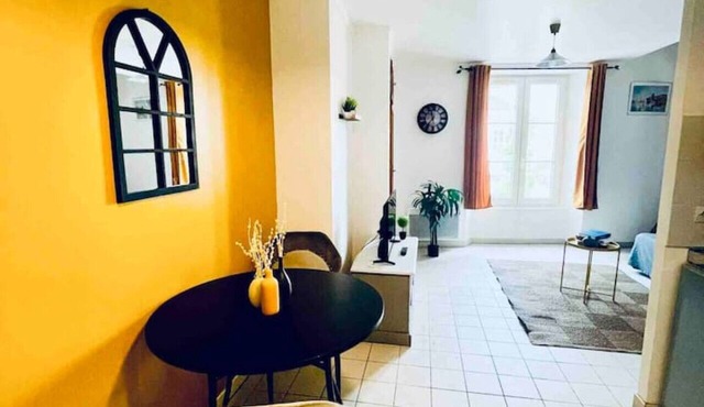 jaune · The KING DUPLEX near the Castle FONTAINEBLEAU