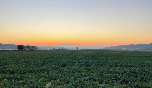 Java - Family home for weekends with friends and reunions