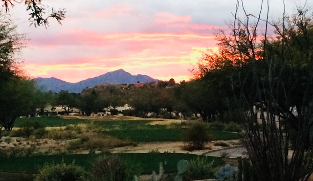 Javelina Hacienda - Relax and Enjoy - Just Say Ahhhhhh !