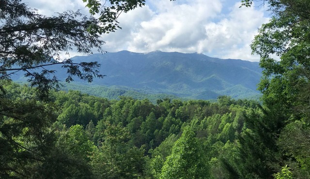 Jaw Dropping View in Black Bear Falls