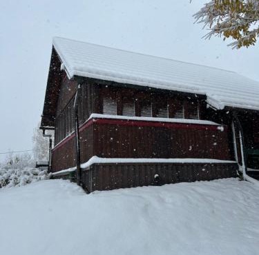 Jazvenik Hill House