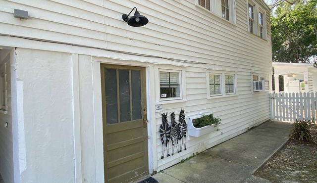 JD’s Zebras - Redesigned Historic School Guesthouse, Old BSL, Steps to Beach