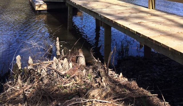 Jeff's Cottage*3 bedroom*2 bath*Toledo Bend*Louisiana Side*1215 area