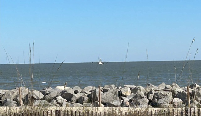 Jekyll Island Seaside Villa