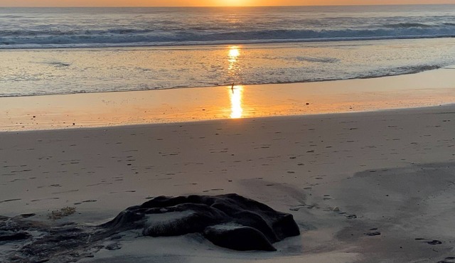 'Jemingar's Place' 207 - Rainbow Beach. Plantation Resort Unit - Incredible Views - Top Floor.