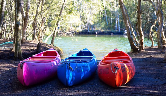 Jervis Bay Cabins & Hidden Creek Campsite