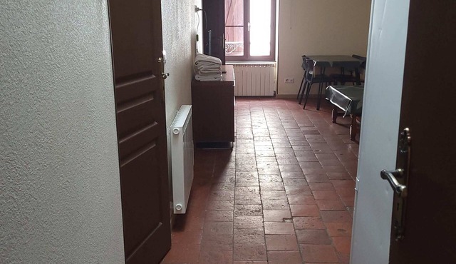 JETEE SUR LA LOIRE (APT N°12)