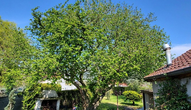 Jeux Olympiques 24 : Loue Chambre lit 160x200, Dans Maison Habitée Tout Confort
