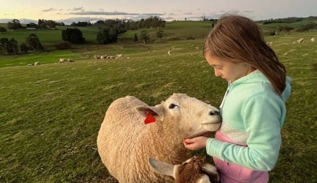 Jilly Park Farmstay-authentic farm experience in beautiful home , breakfast incl