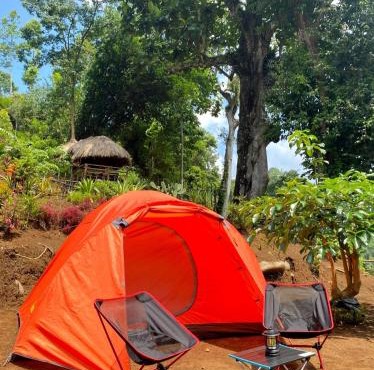 Joe Nature Camp