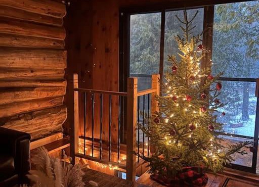 John Wayne Cedar Oasis