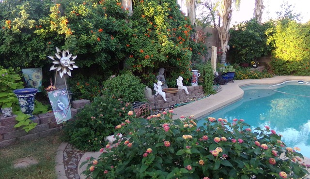 Johnson Ranch SanTan Valley Golfing, Swimming, Hiking, & for Lovers of Naturen