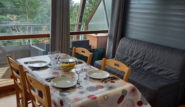 Joli Appartement à Chamrousse 2 Chambres vue Montagne et Pied des Pistes