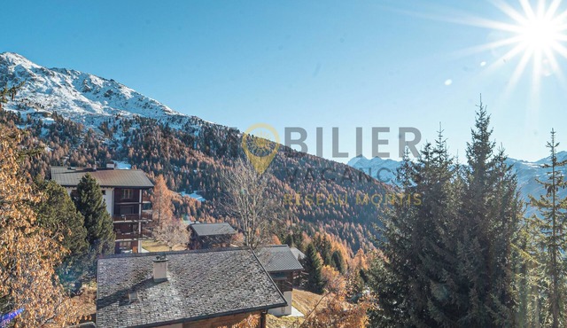 Joli et spacieux appartement de 4 1/2 pièces au 2ème étage d'une résidence au centre de Chandolin, i