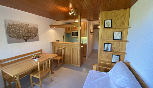 Joli Studio au Calme, vue Apaisante, ski aux Pieds