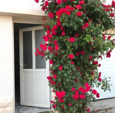 joli studio au coeur de Verdun