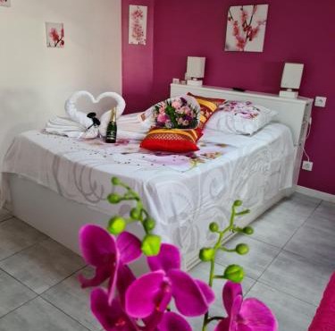 Joli Studio Le Pavachon jardin et terrasse à 3 min du Puy du Fou