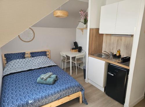 Joli studio plein centre proche Gare Orléans