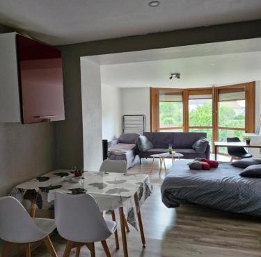 Joli studio une pièce 15min à pied centre dEpinal 4 personnes grâce au canapé lit, parking privé gratuit et parking extérieur gratuit Machine à laver TV wifi machine à café linge de lit et serviettes fournis