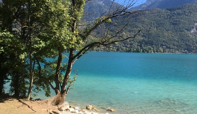 Joli t 3 à la Montagne