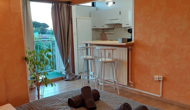 Jolie Appartement à Talence