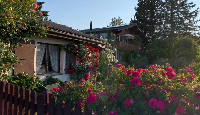 Jolie chambre dans chalet