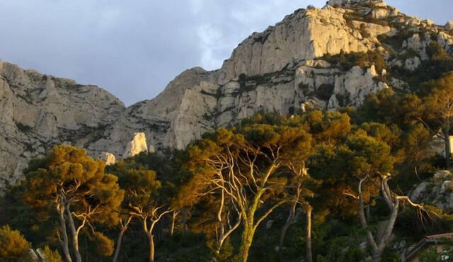 Jolie rental 1-5 pers quiet area between Marseille beaches and Calanques
