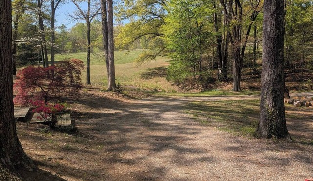 Jones Creek Hideaway - 5 minutes from Fine Creek