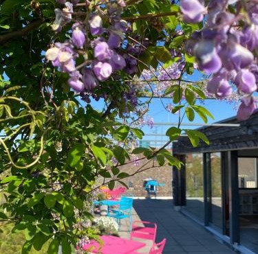 Josephine's Guesthouse - WOMEN ONLY with rooftop and community area