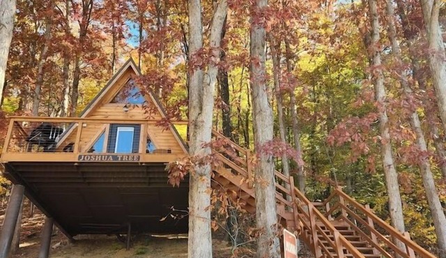 Joshua Tree/Unique Lakeview 4 Person A-Frame Cabin