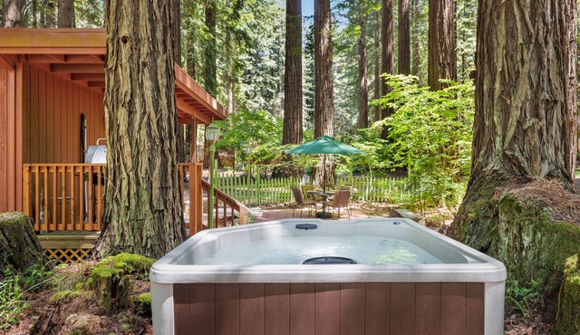 Joy Cottage ~ Monthly Stays Available at this Peaceful Retreat in Occidental