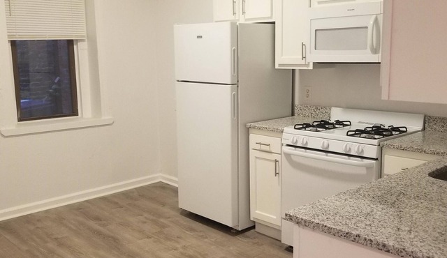 JP Renovated 2-3 Bedroom unit close to downtown Boston and hospitals
