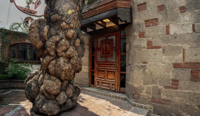 Jr Suite en el Centro de Coyoacán