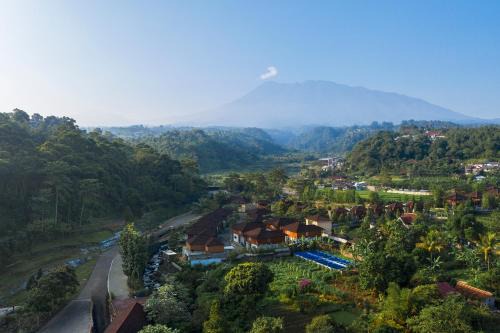 JSI Resort Megamendung