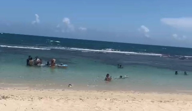 Juan Dolió, Guayacanes, San Pedro de Macorís 203-D