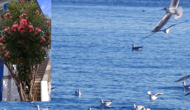 Juan Les Pins: apartment/flat - Juan les Pins