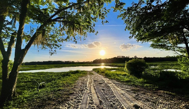 Juanita’s Cabin , a Peaceful cabin in Central Florida. IG:@JUANITASCABIN