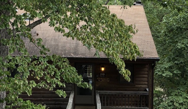 Judy's Condo in the Forest at Lake Ouachita