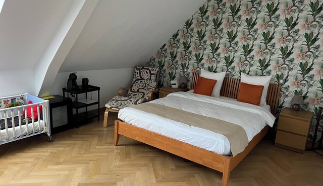 Jules & Leonard room in Château Camus