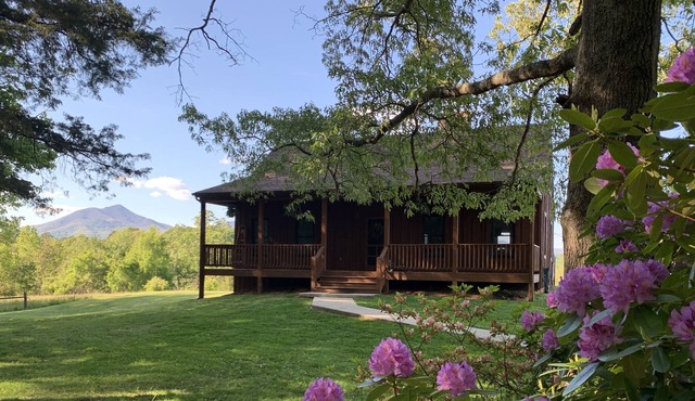 Julie’s Cabin, Private & Secluded, Peaceful Paradise with views, Dogs OK