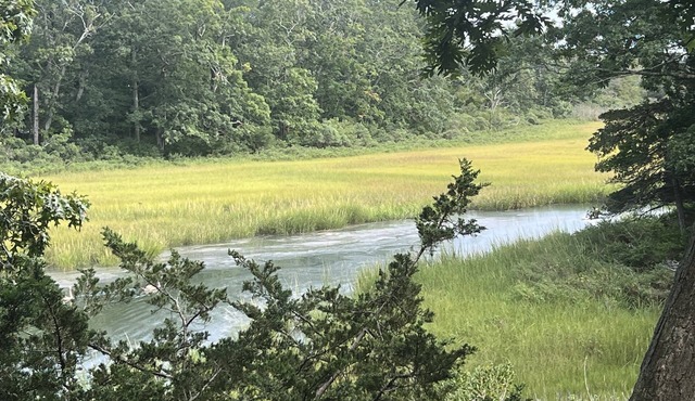 July-Oct: 3 bm charming Waterfront Artist Cottage for Rent In North Fork, NY n